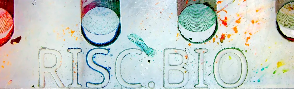 RISC.BIO logo built up on a plate with colorful pigment